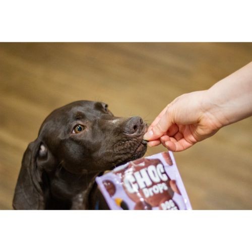 Rosewood Chocolate Drops for Dogs 200g