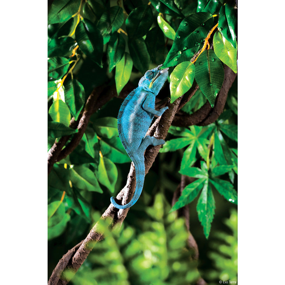 Exo Terra Jungle Vine Small