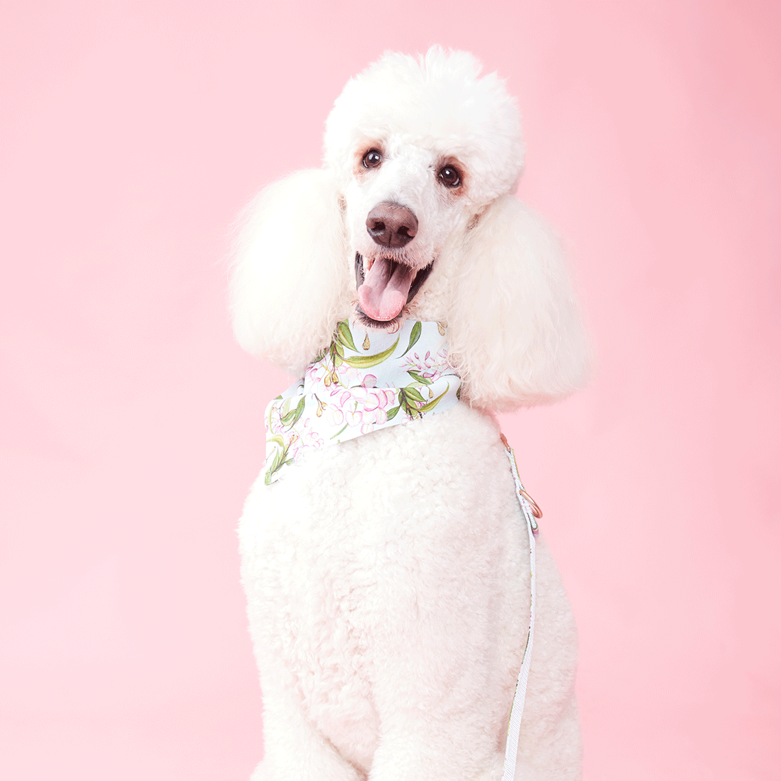DOG BANDANA - WATERCOLOUR FLORAL