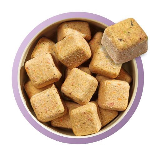Natures Menu Complete & Balance Raw Puppy Food 80/20 - Turkey & Fish 1kg