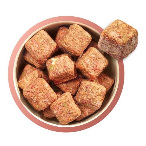 Natures Menu Complete & Balanced Raw Puppy Food 80/20 - Beef 1kg