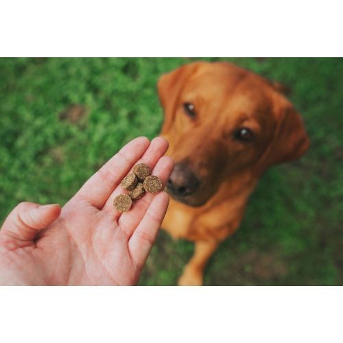 Denzel's Superfood Bites 100g