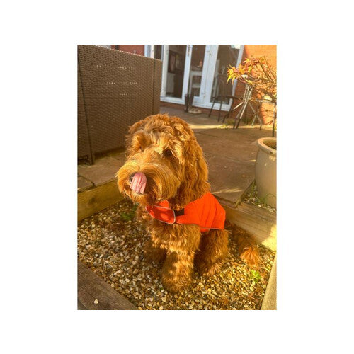 Doodlebone Puffer Jacket Pumpkin & Smoke Size 3-5