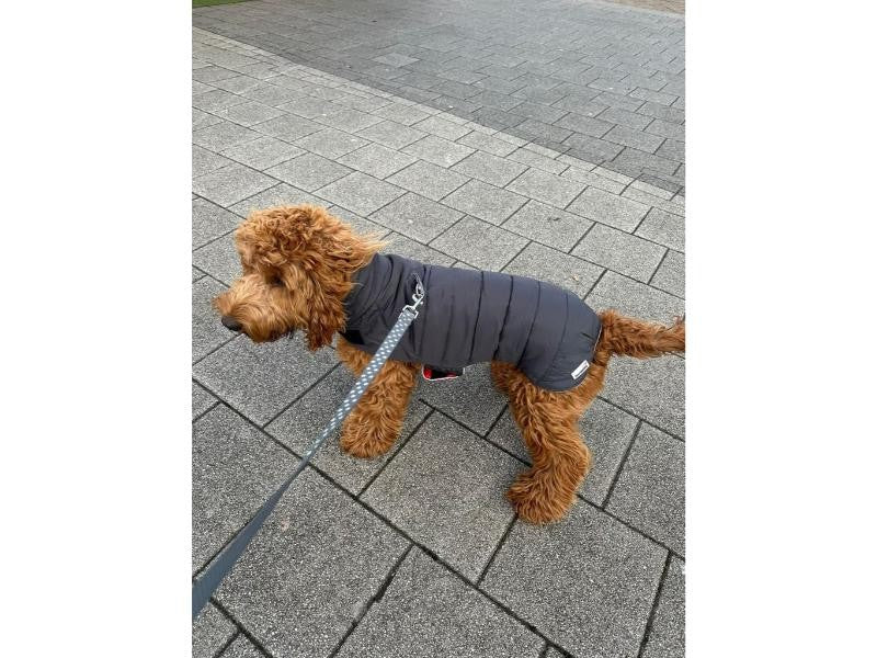 Doodlebone Puffer Jacket Pumpkin & Smoke Size 5-7 Small