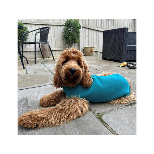 Doodlebone Dog Fleece Teal Size 1
