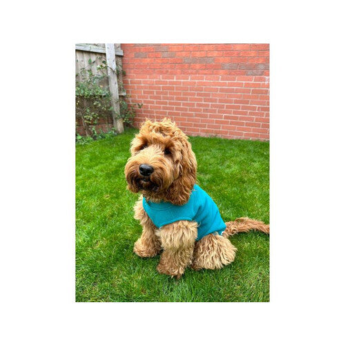 Doodlebone Dog Fleece Teal Size 1