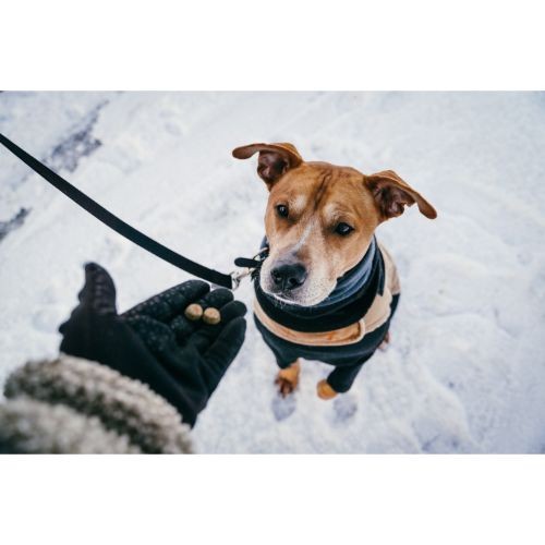 Denzel's Soft 'n' Squishy Puppy Treats For Dogs 100g