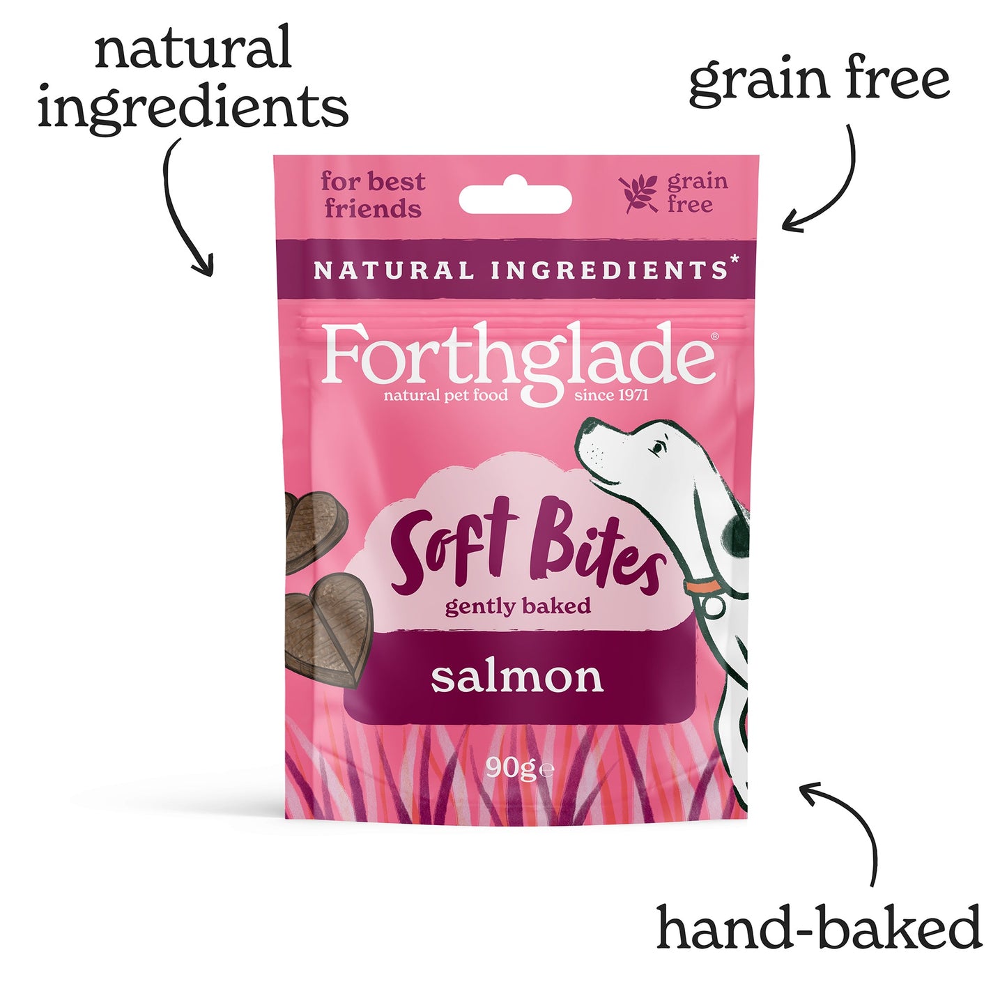 Salmon Wet Food, Treats & Supplements Variety Bundle