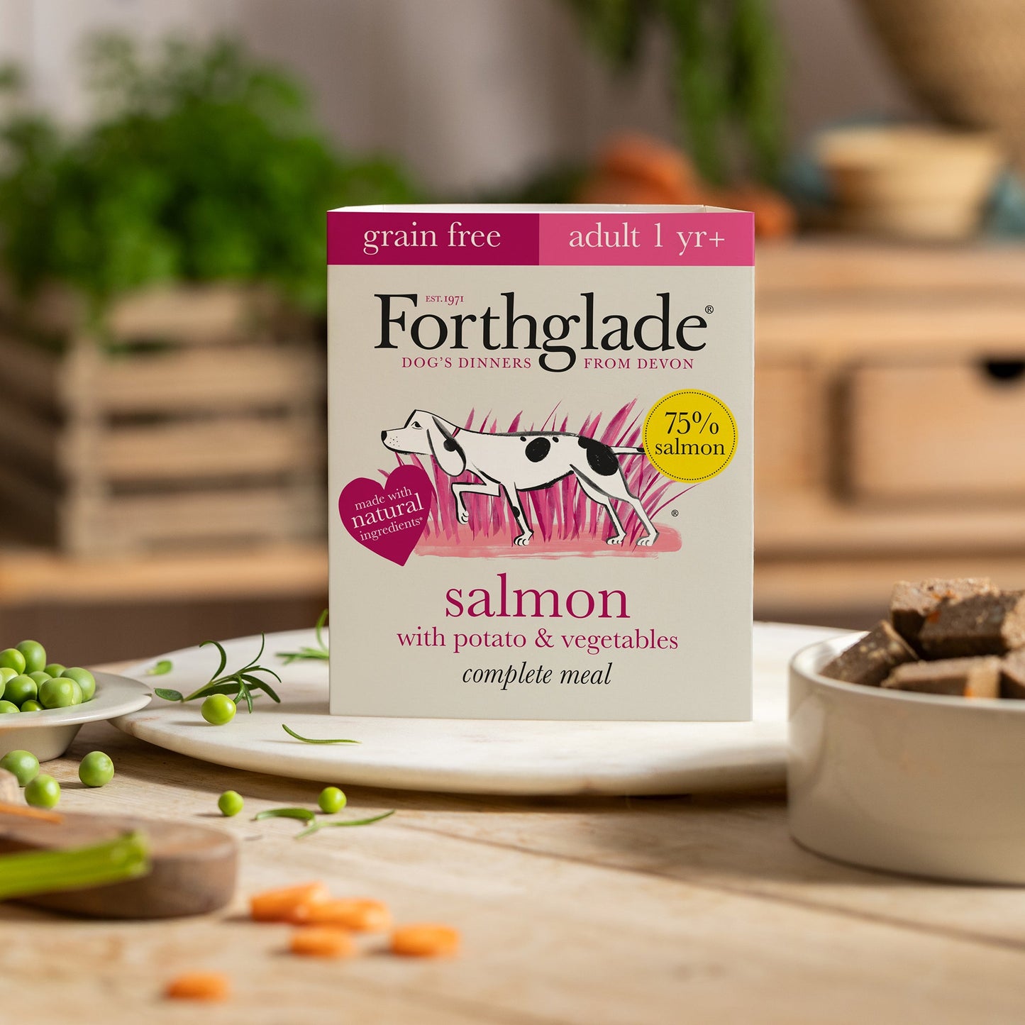 Salmon with Potato & Vegetables Natural Wet Dog Food