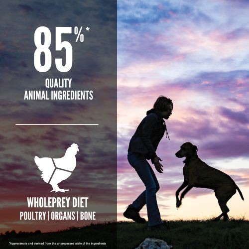 Orijen Grain Free Dry Puppy Food for Large Breeds 11.4kg