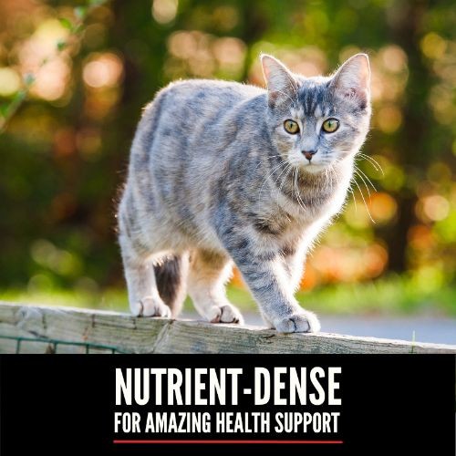 Orijen Regional Red Dry Cat Food Grain Free All Life Stages 5.4kg