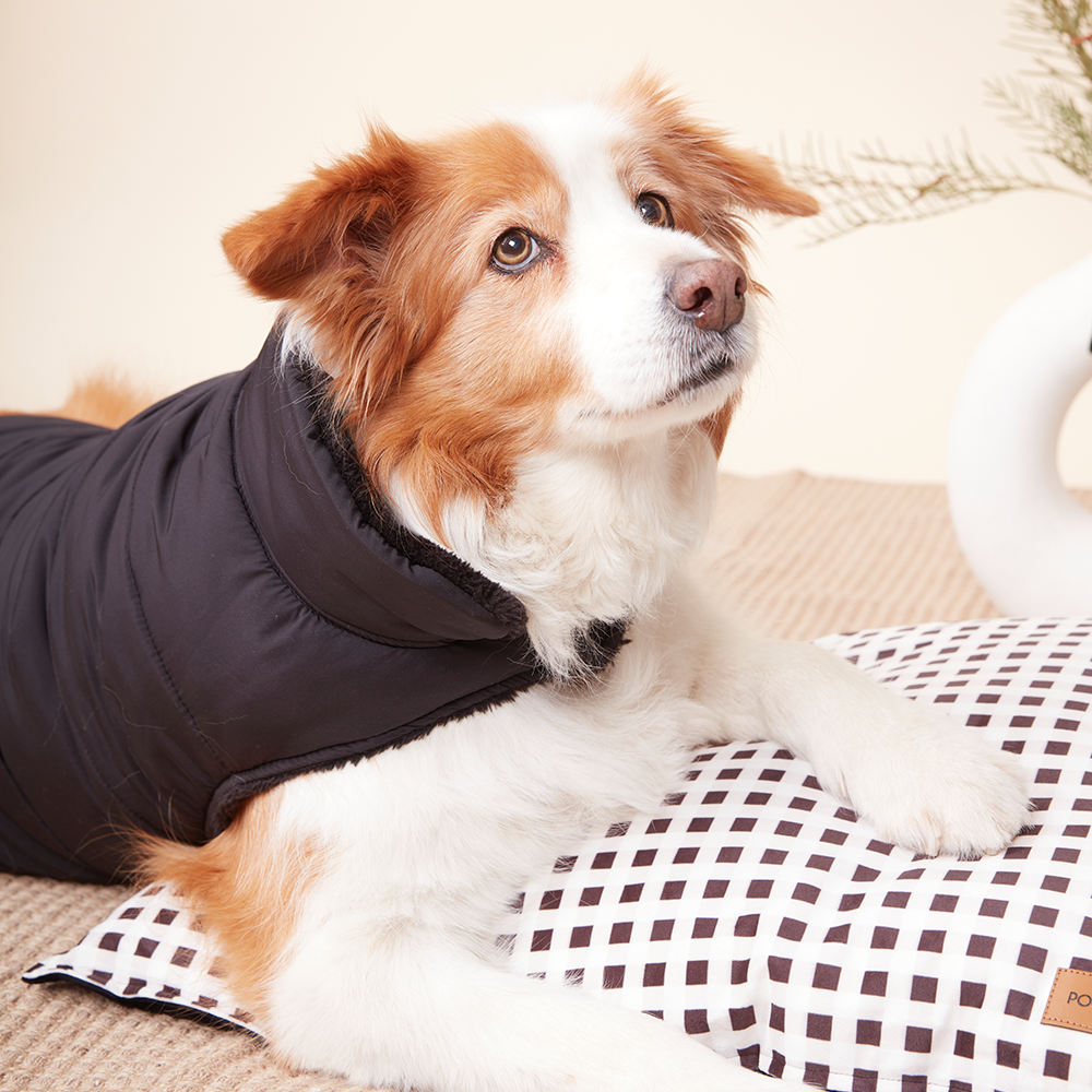 PUFFER JACKET - BLACK