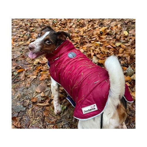 Doodlebone Puffer Jacket Punch & Burgundy Size 3-5