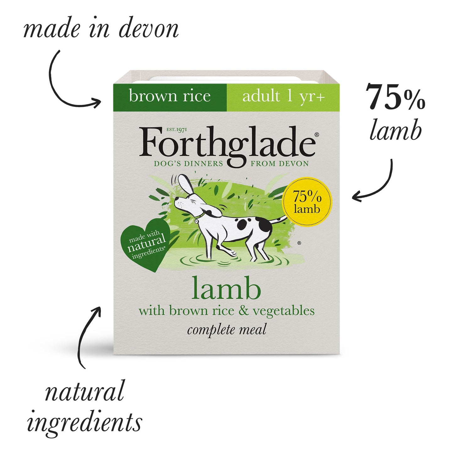 Adult Lamb with Brown Rice & Vegetables Natural Wet Dog Food