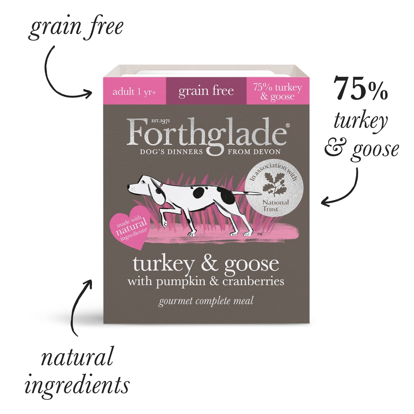 National Trust Turkey & Goose Natural Gourmet Wet Dog Food (395g)