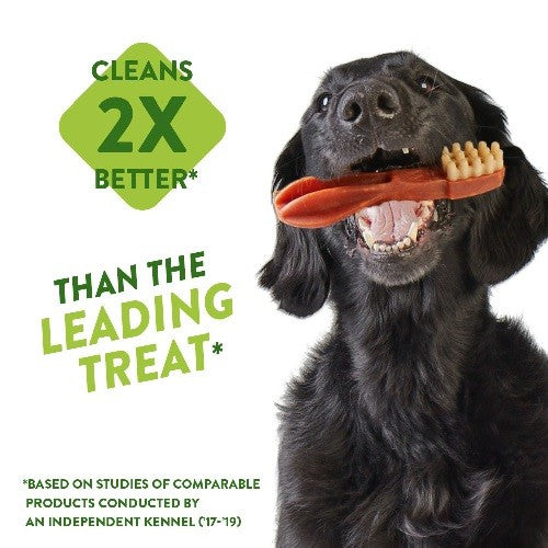 Whimzees Alligator 87mm Dental Dog Chew Treat Medium