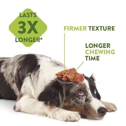 Whimzees Rice Bone Dental Dog Chew Treat Large