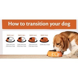 Wellness CORE Active Life with Chicken & Turkey Dry Dog Food 10kg