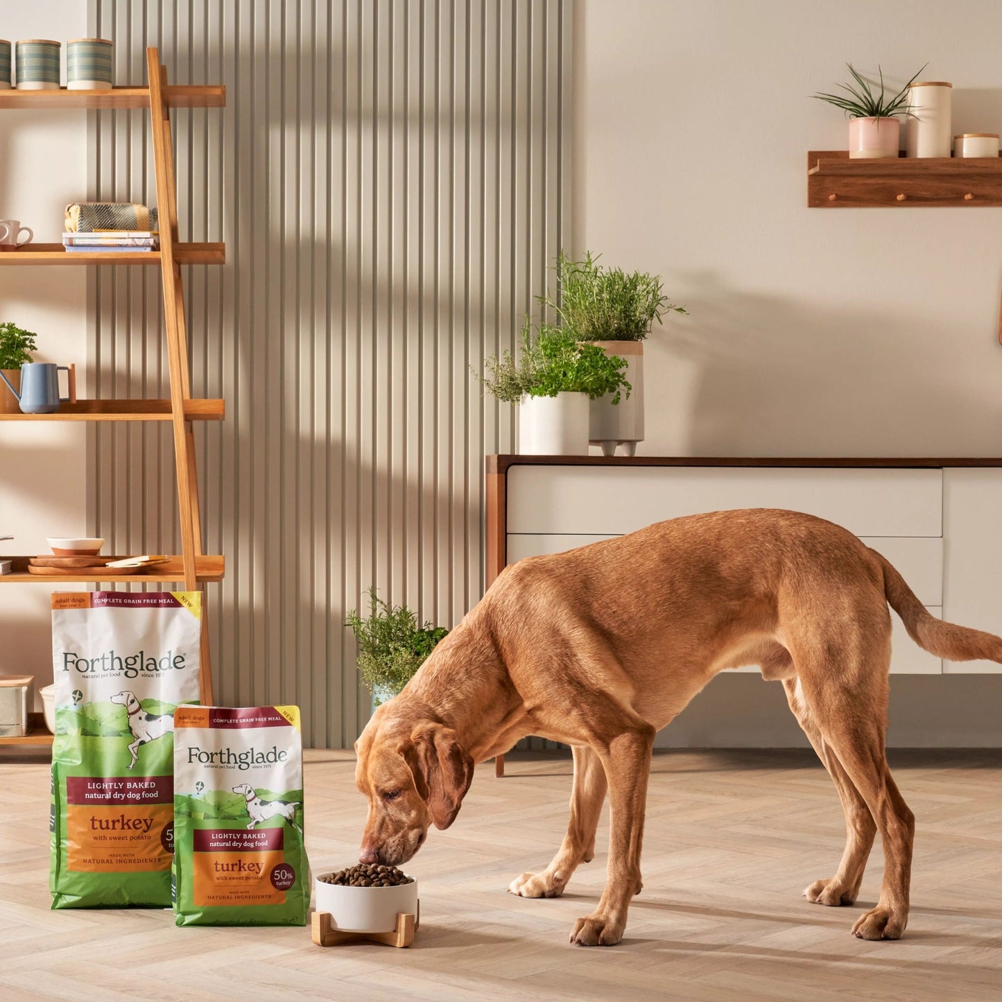 Turkey Lightly Baked Natural Dry Dog Food
