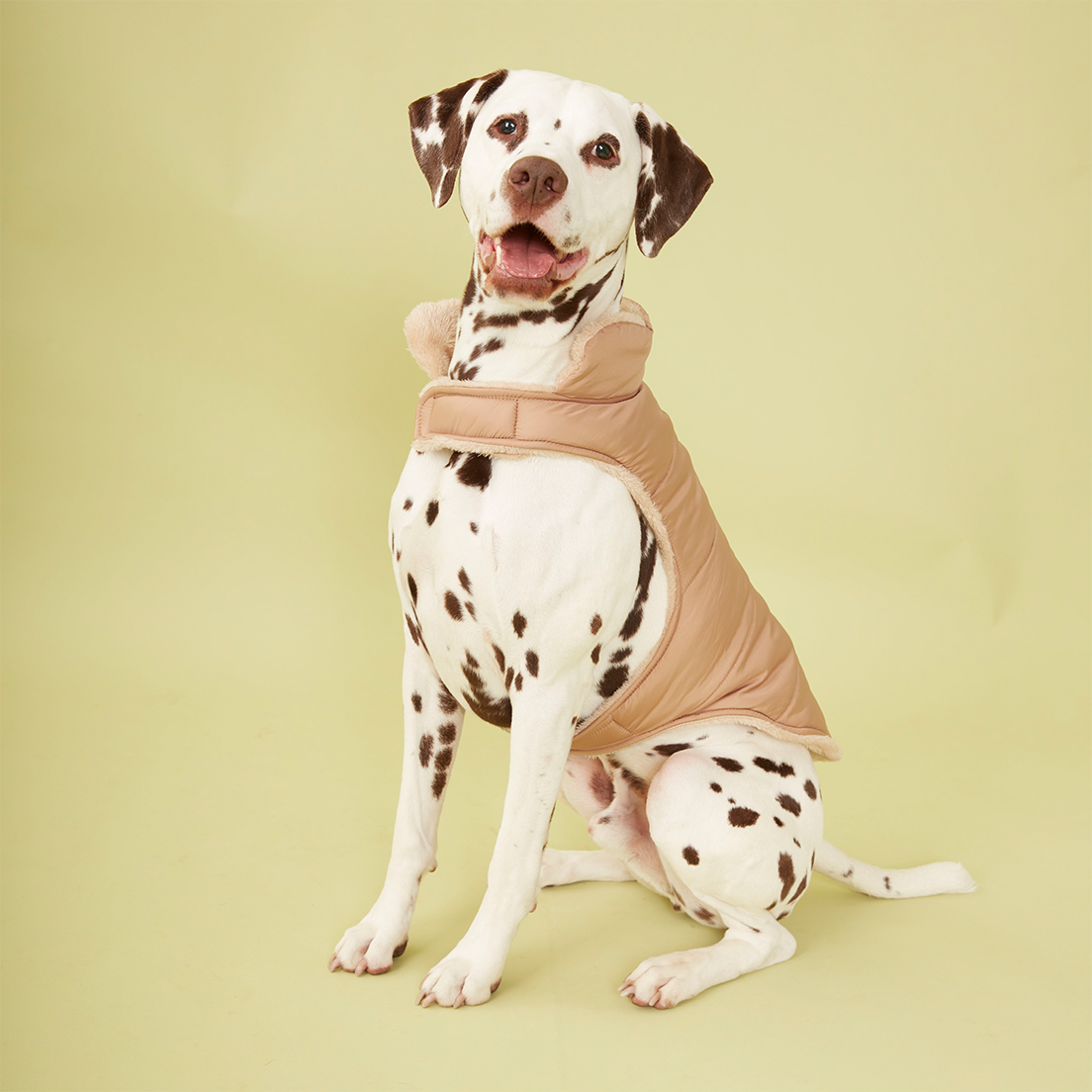 PUFFER JACKET - CAMEL