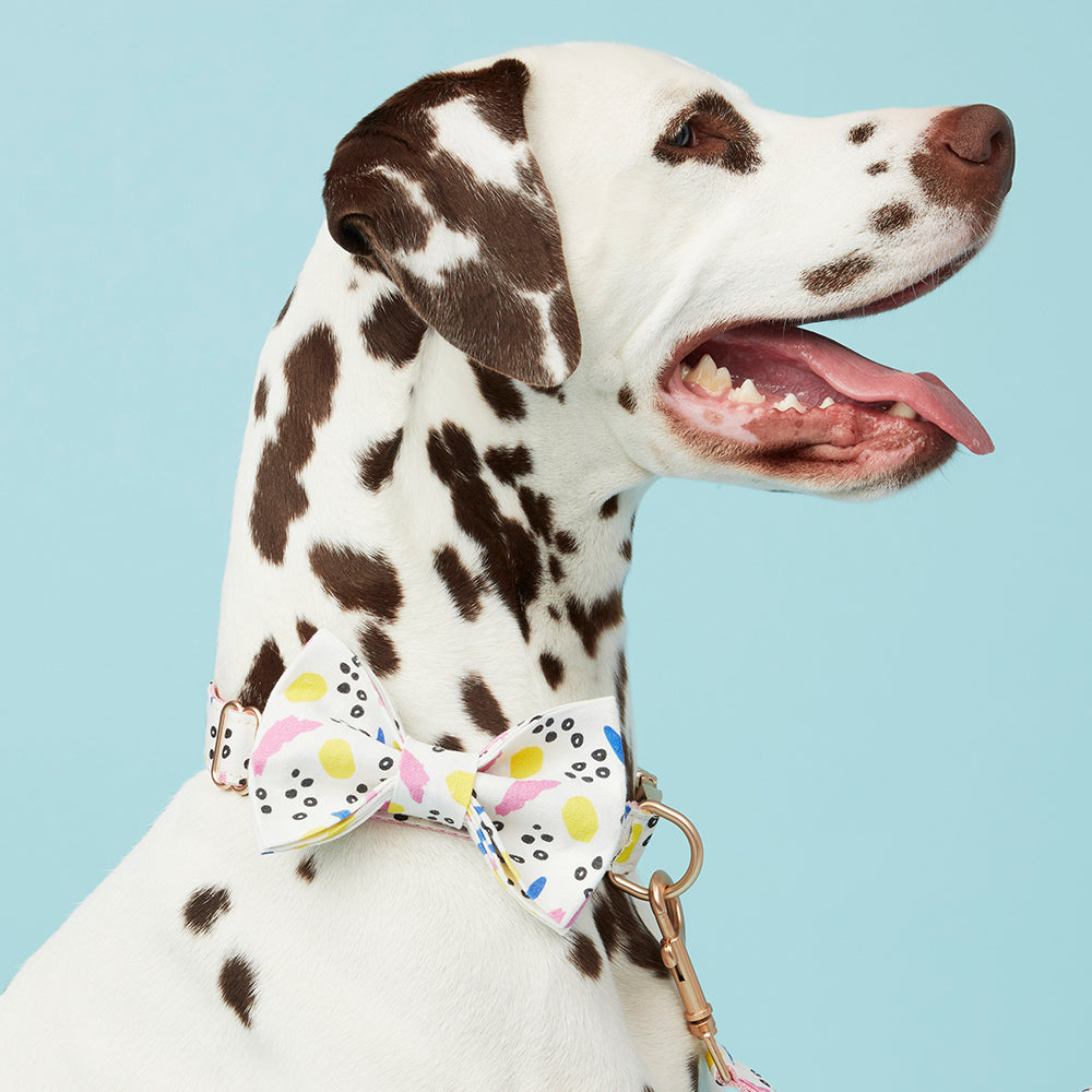 DOG BOW TIE - ABSTRACT