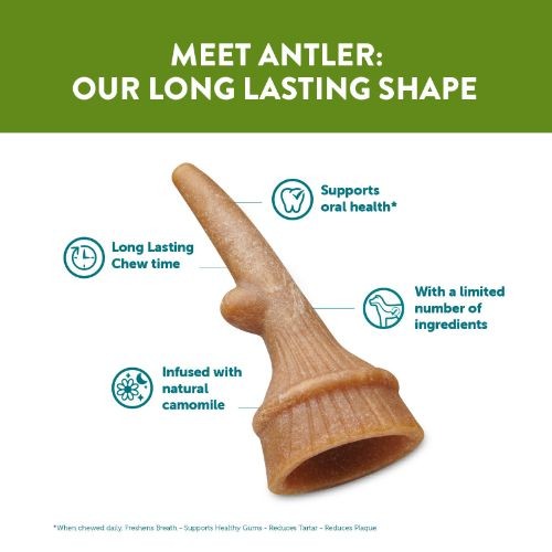 Whimzees Antler Large Dental Chew Dog Treat Pack - 6pk