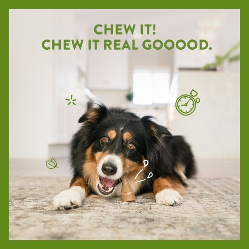 Whimzees Antler Large Dental Chew Dog Treat Pack - 6pk