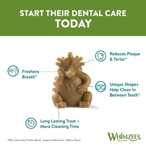 Whimzees Hedgehog 76mm Dental Dog Chew Treat Large