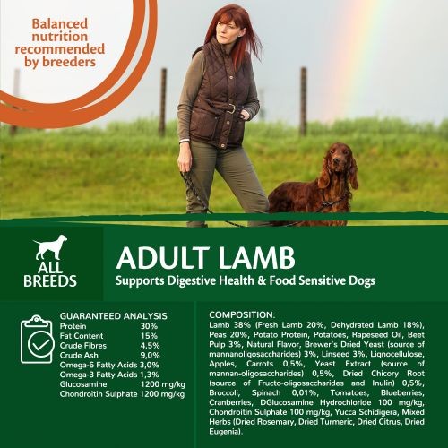Wellness CORE Adult Lamb Grain Free Dry Dog Food 10kg