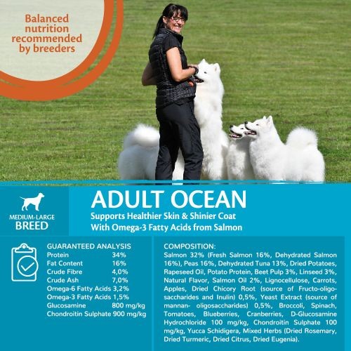 Wellness CORE Ocean Fish Salmon and Tuna Grain Free Adult Dry Dog Food 1.8kg