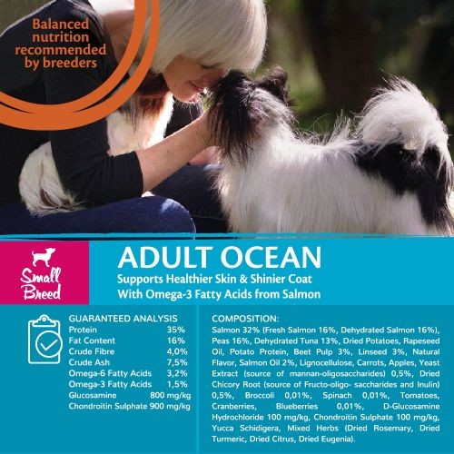 Wellness CORE Small Breed Ocean Fish with Salmon Grain Free Adult Dry Dog Food 5kg