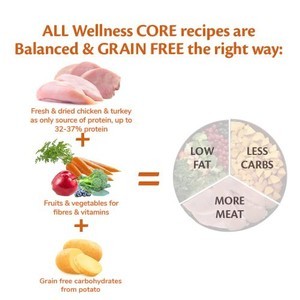 Wellness CORE Active Life with Chicken & Turkey Dry Dog Food 10kg