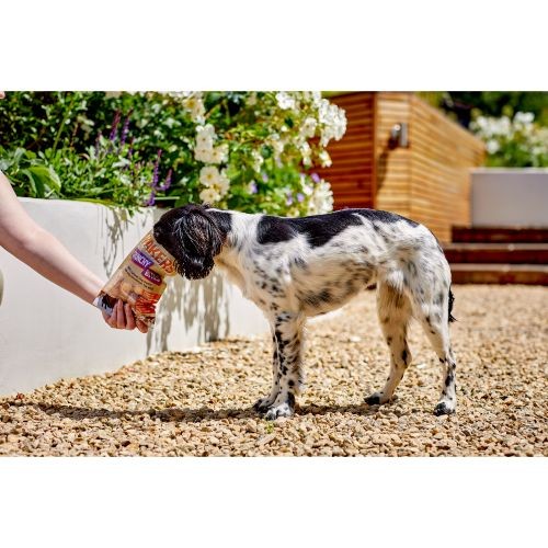 Yakers Himalayan Crunchy Bites Dog Treats - 70g