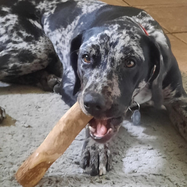Coffee Woods Stick