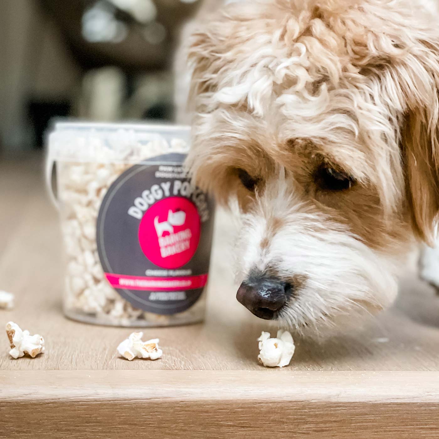 Barking Bakery Cheesey Pupcorn Tub 55g