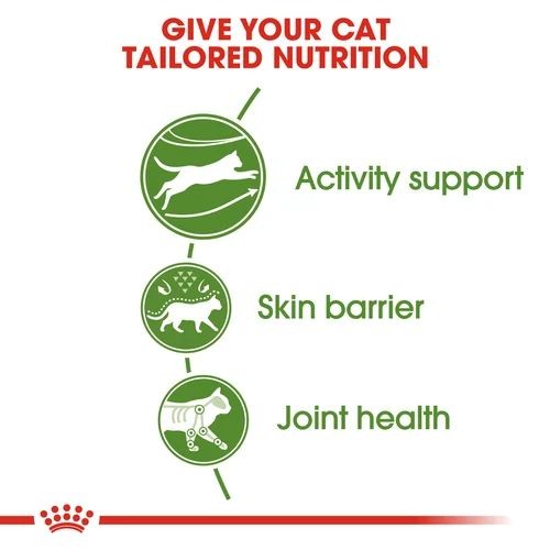 Royal Canin Active Life Outdoor Adult Cat Food 4kg