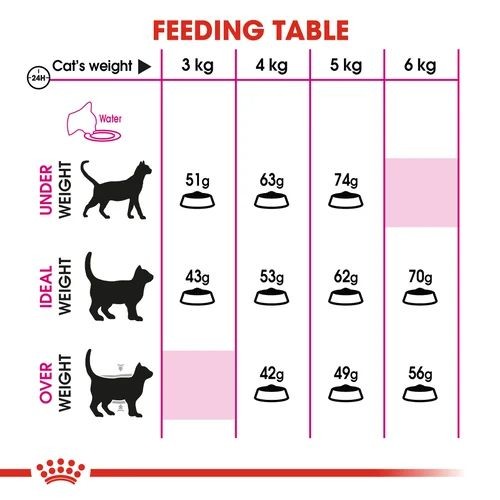 Royal Canin Feline Preference Savour Exigent Adult Cat Food 2kg