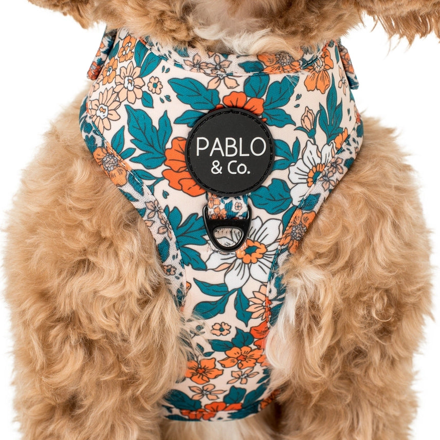 Wildflowers: Adjustable Dog Harness