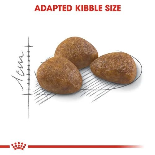 Royal Canin Active Life Outdoor Senior 7+ Cat Food 2kg