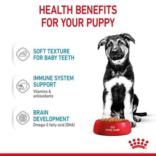 Royal Canin Nutrition Wet Puppy Food Maxi in Gravy 10 x 140g