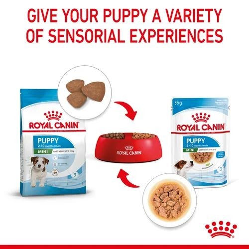 Royal Canin Wet Puppy Food In Gravy for Mini Breeds 12 x 85g