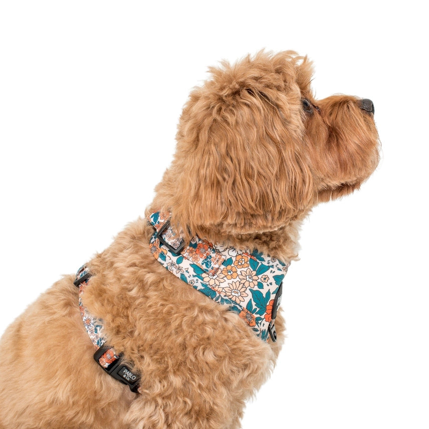 Wildflowers: Adjustable Dog Harness