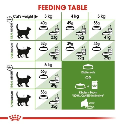 Royal Canin Active Life Outdoor Adult Cat Food 4kg