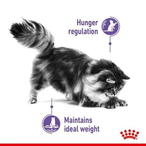 Royal Canin Regular Sterilised Appetite Control Adult Cat Food 2kg