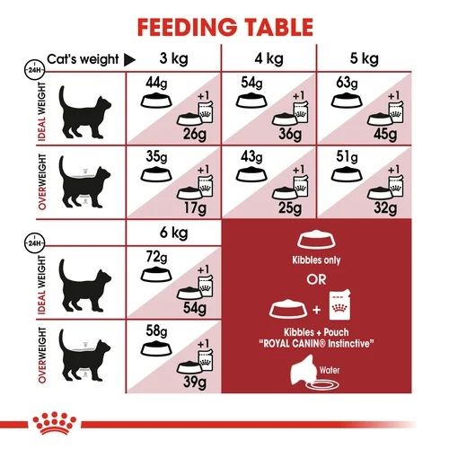 Royal Canin Regular Adult Maintenance Fit 32 Adult Cat Food 400g