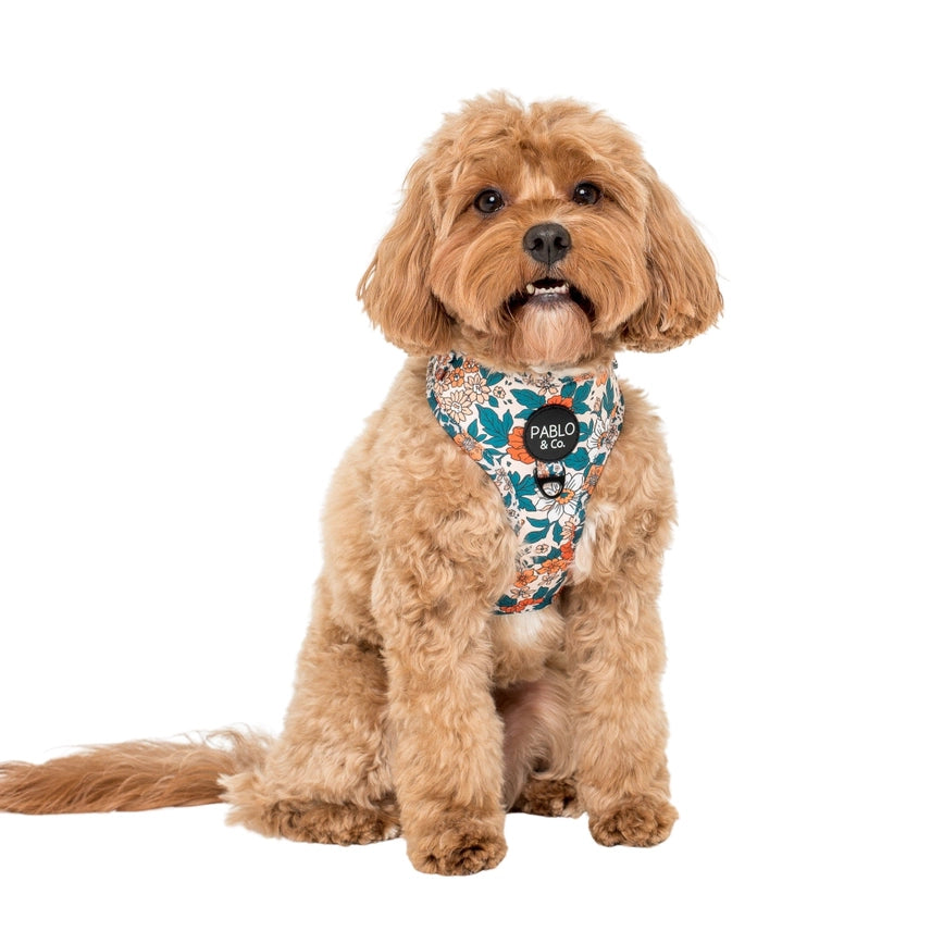 Wildflowers: Adjustable Dog Harness