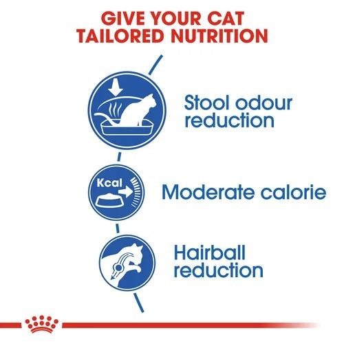 Royal Canin Home Life Indoor Adult Cat Food 400g