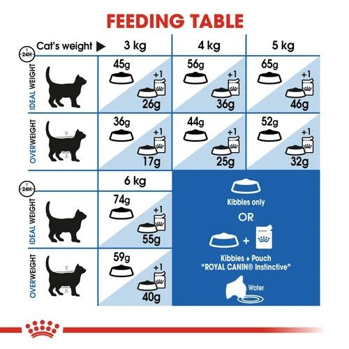 Royal Canin Home Life Indoor Adult Cat Food 2kg