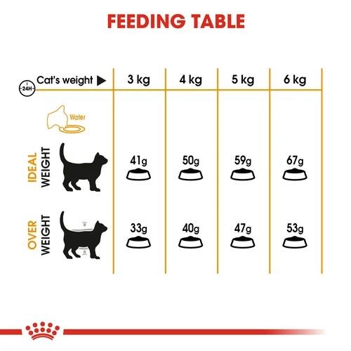 Royal Canin Hair and Skin Care Adult Cat Food 2kg