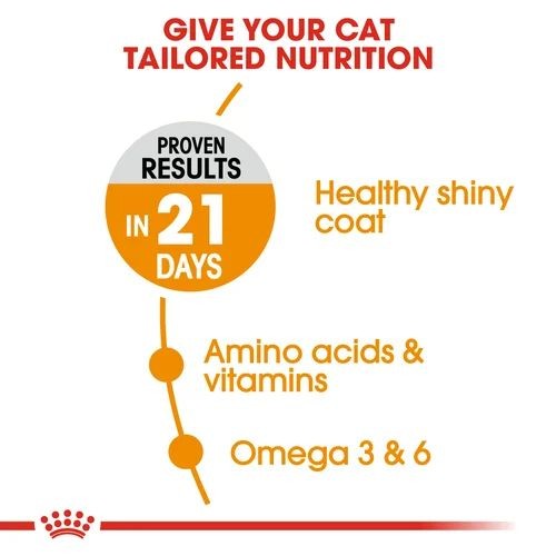 Royal Canin Hair and Skin Care Adult Cat Food 2kg